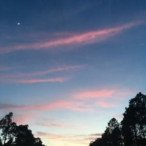 Meet your Posher, Jack